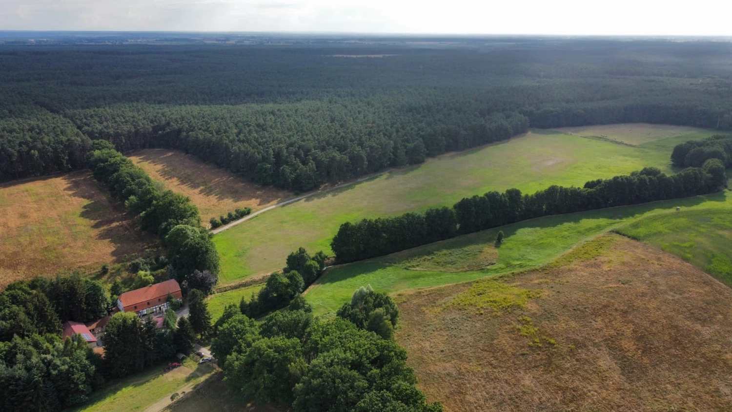 Hof Drögemühle - Landwirtschaft - Land