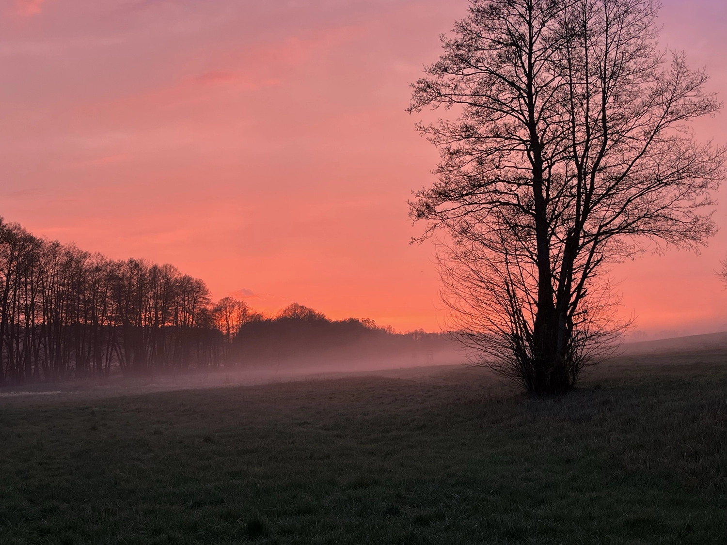Hof Drögemühle - Landwirtschaft - Landnebel