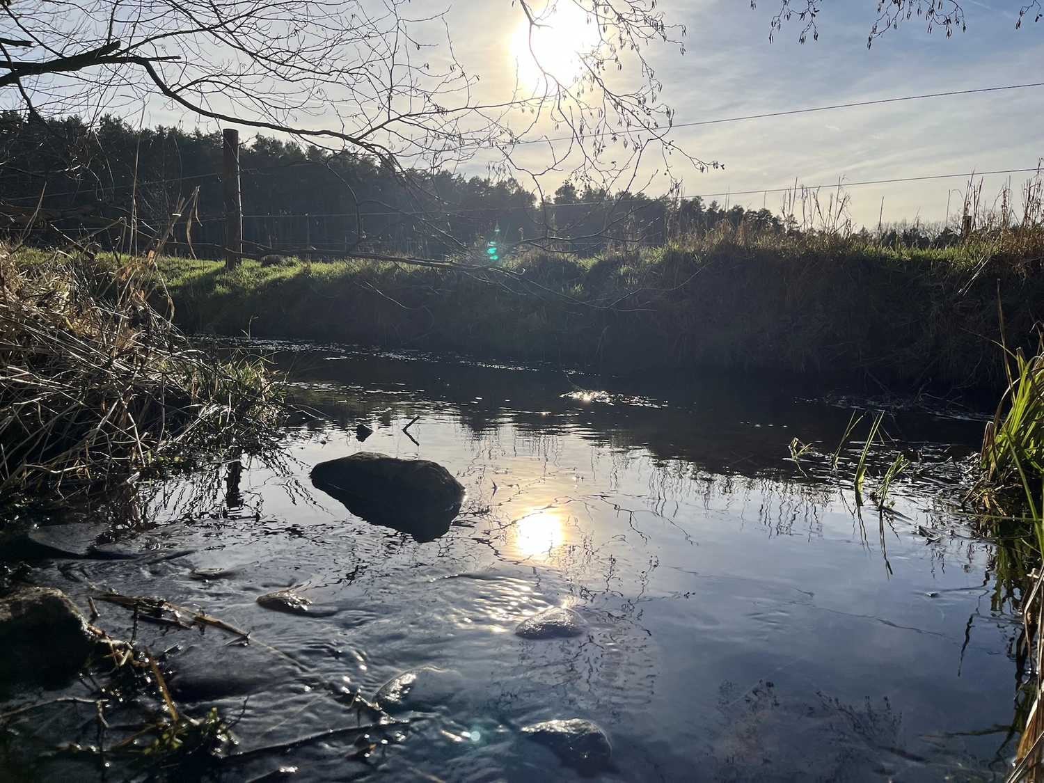 Hof Drögemühle - Landwirtschaft - Wasserstrom