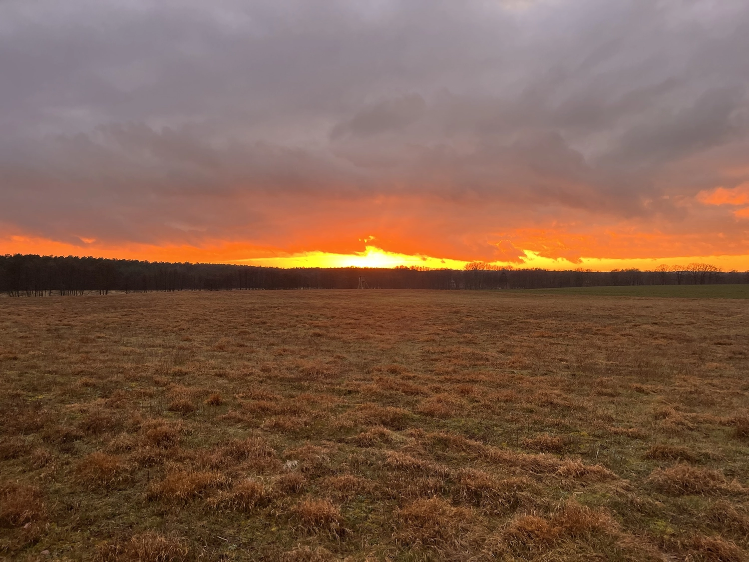 Hof Drögemühle - Landwirtschaft - Sonnenuntergang