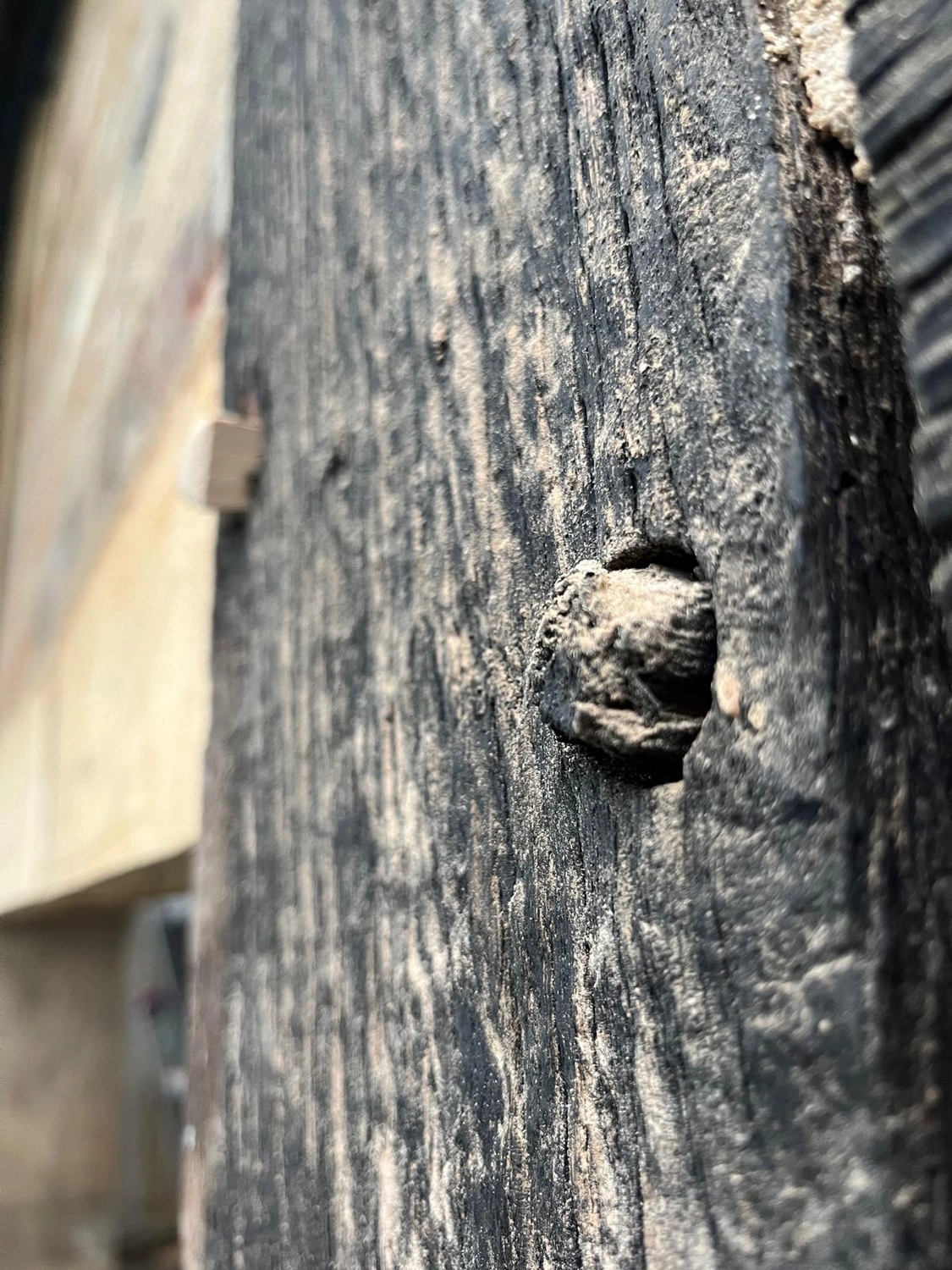 Hof Drögemühle - Landwirtschaft - Holz