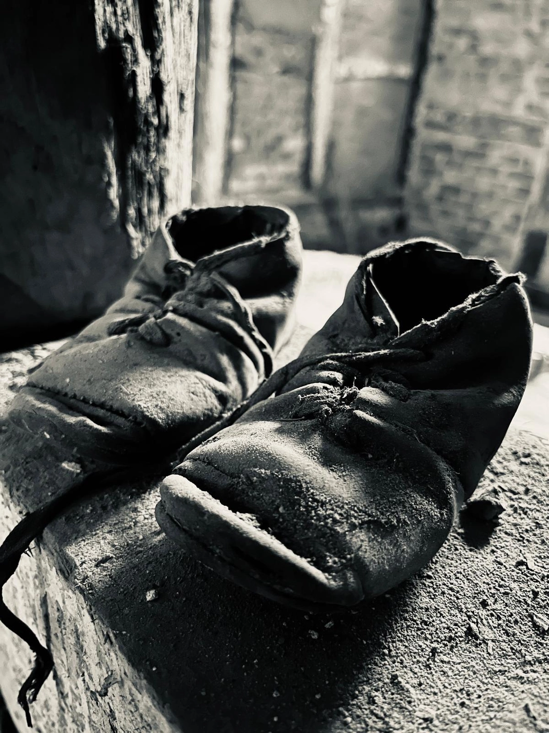 Hof Drögemühle - Landwirtschaft - Stiefel