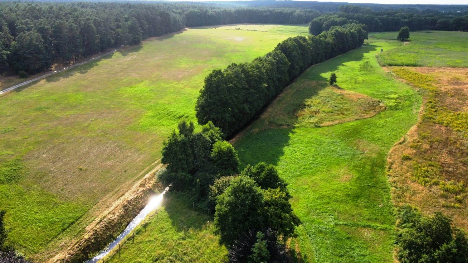 Hof Drögemühle - Landwirtschaft - Land