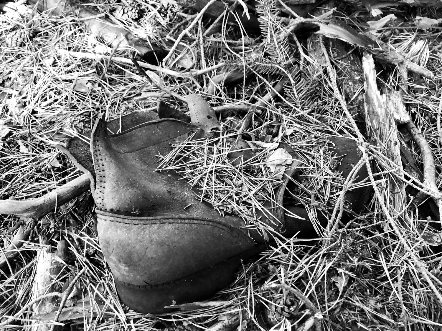 Hof Drögemühle - Landwirtschaft - Stiefel im Gras