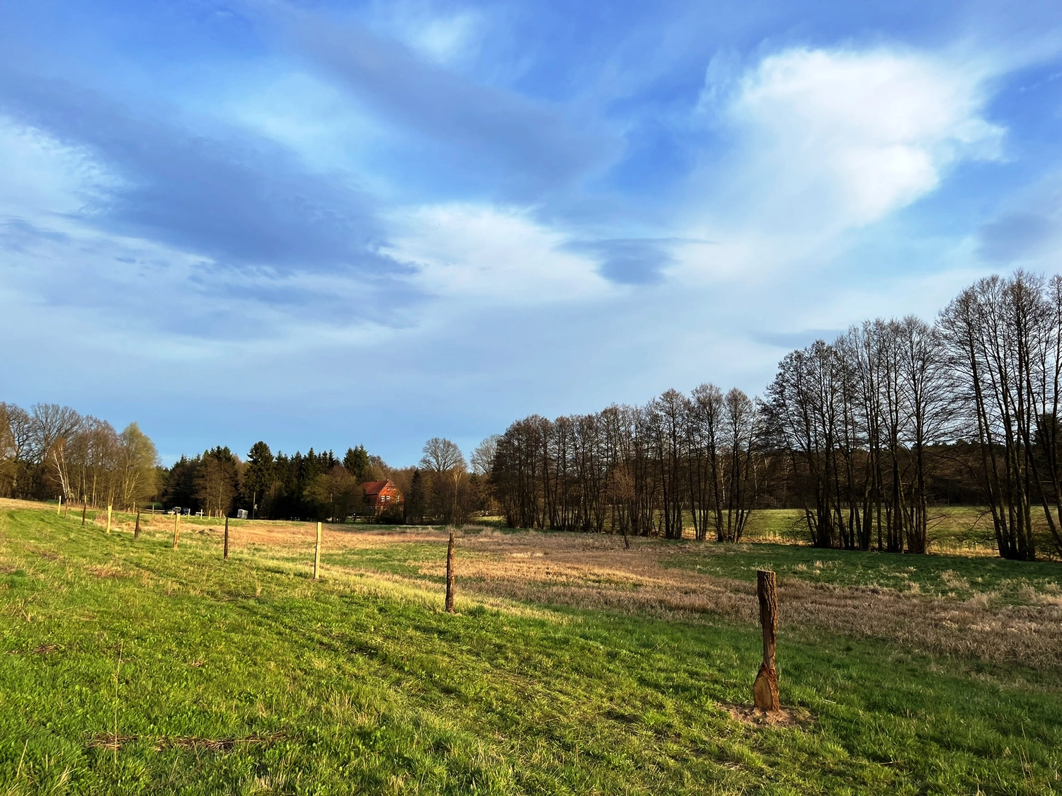 Hof Drögemühle - Landwirtschaft - Land