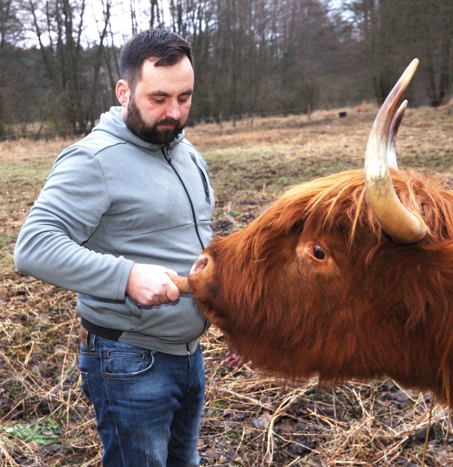 Hof Drögemühle - Landwirtschaft - Person füttert Yak