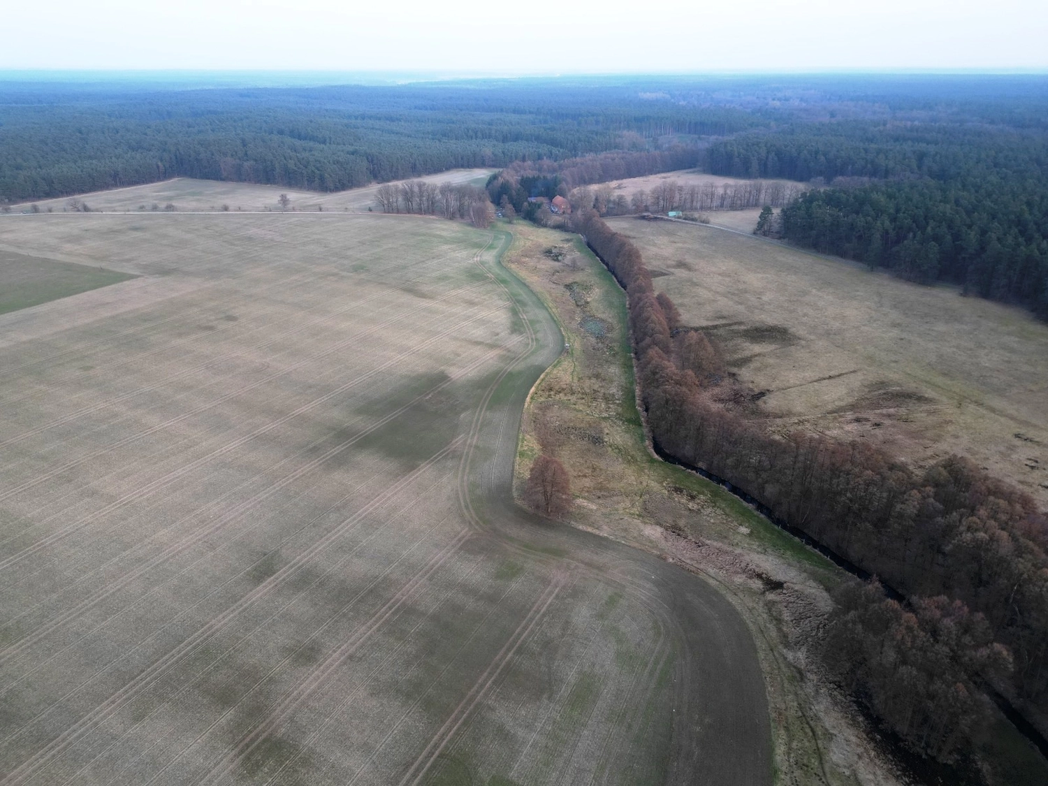 Hof Drögemühle - Landwirtschaft - Land