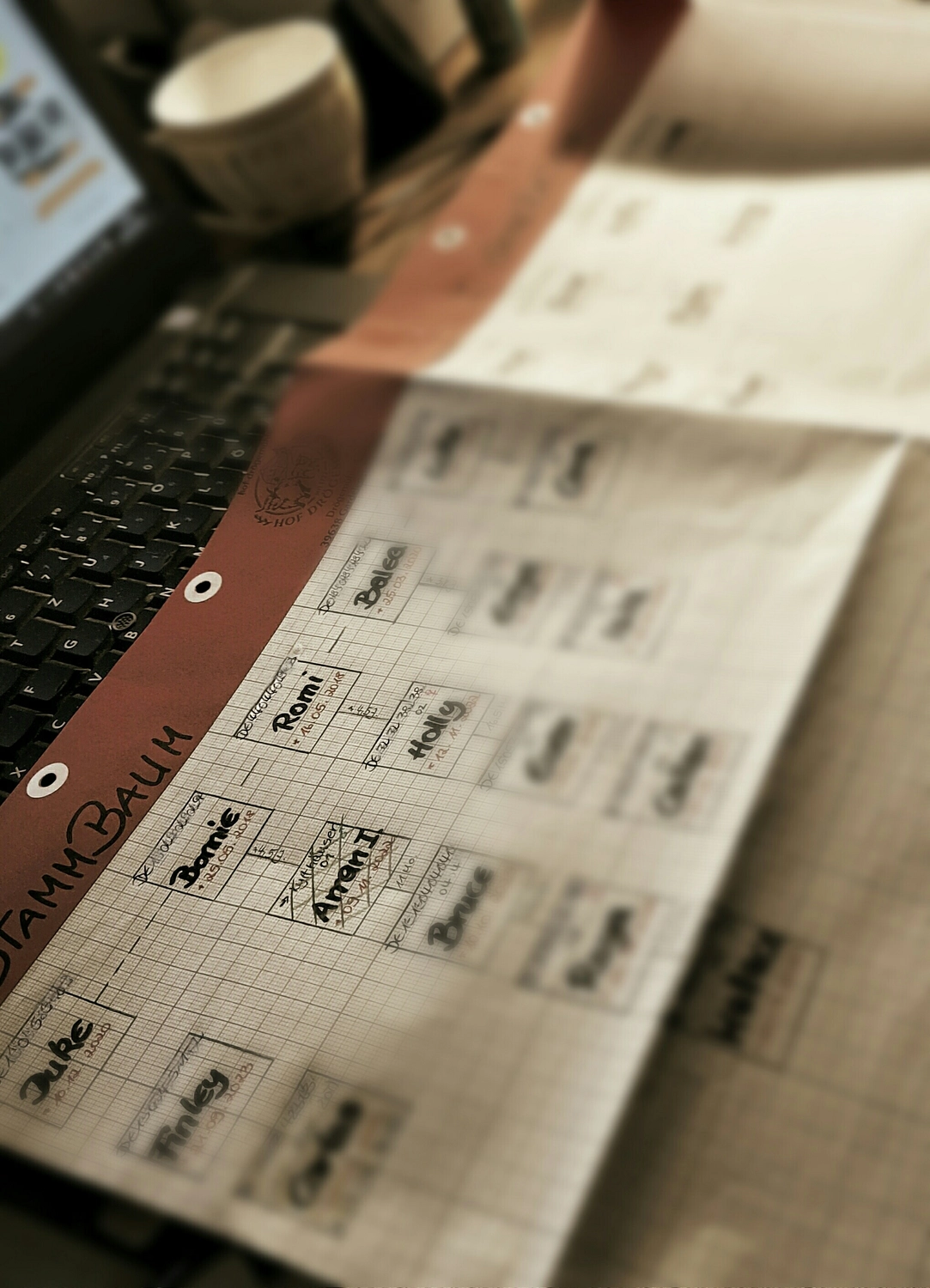 Hof Drögemühle - Landwirtschaft - Namen