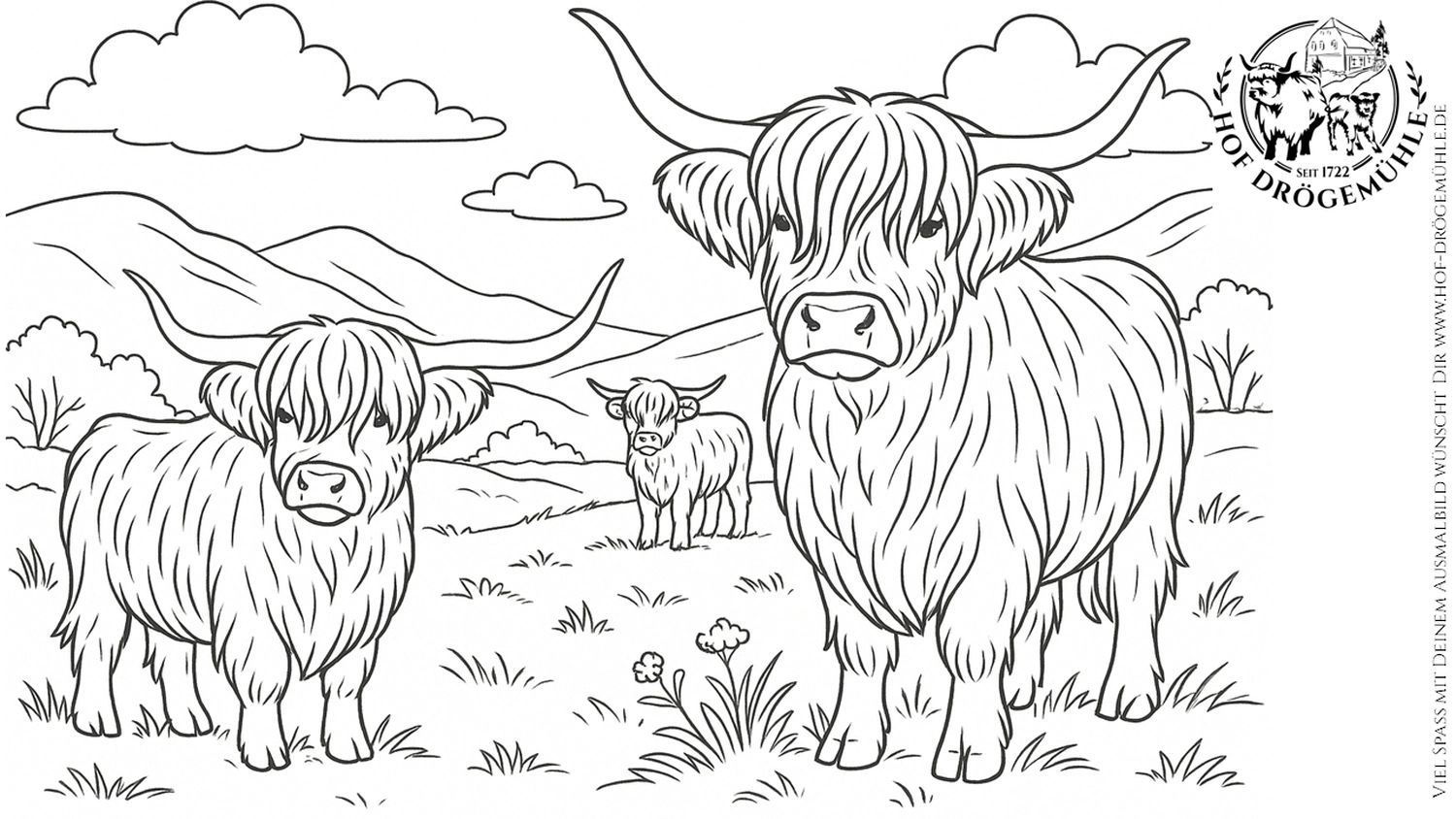 Hof Drögemühle - Malseite - Die Schotten auf der Wiese