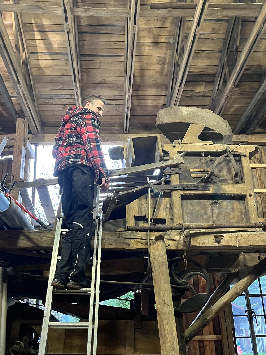 Hof Drögemühle - Landwirtschaft - René – „Nele“