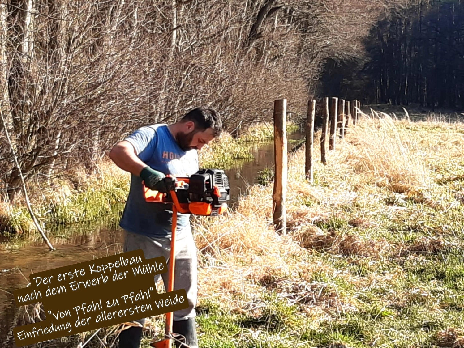 Hof Drögemühle - Landwirtschaft - Bohren