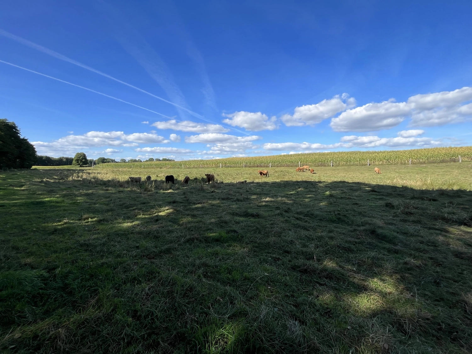 Hof Drögemühle - Landwirtschaft  Land