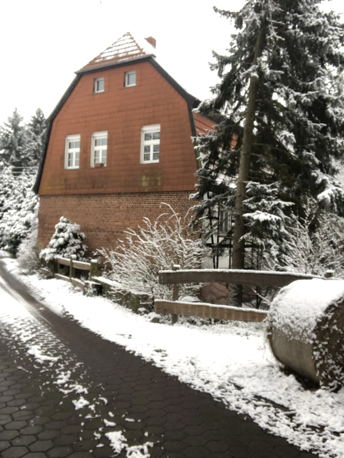 Hof Drögemühle - Landwirtschaft - Bauernhof