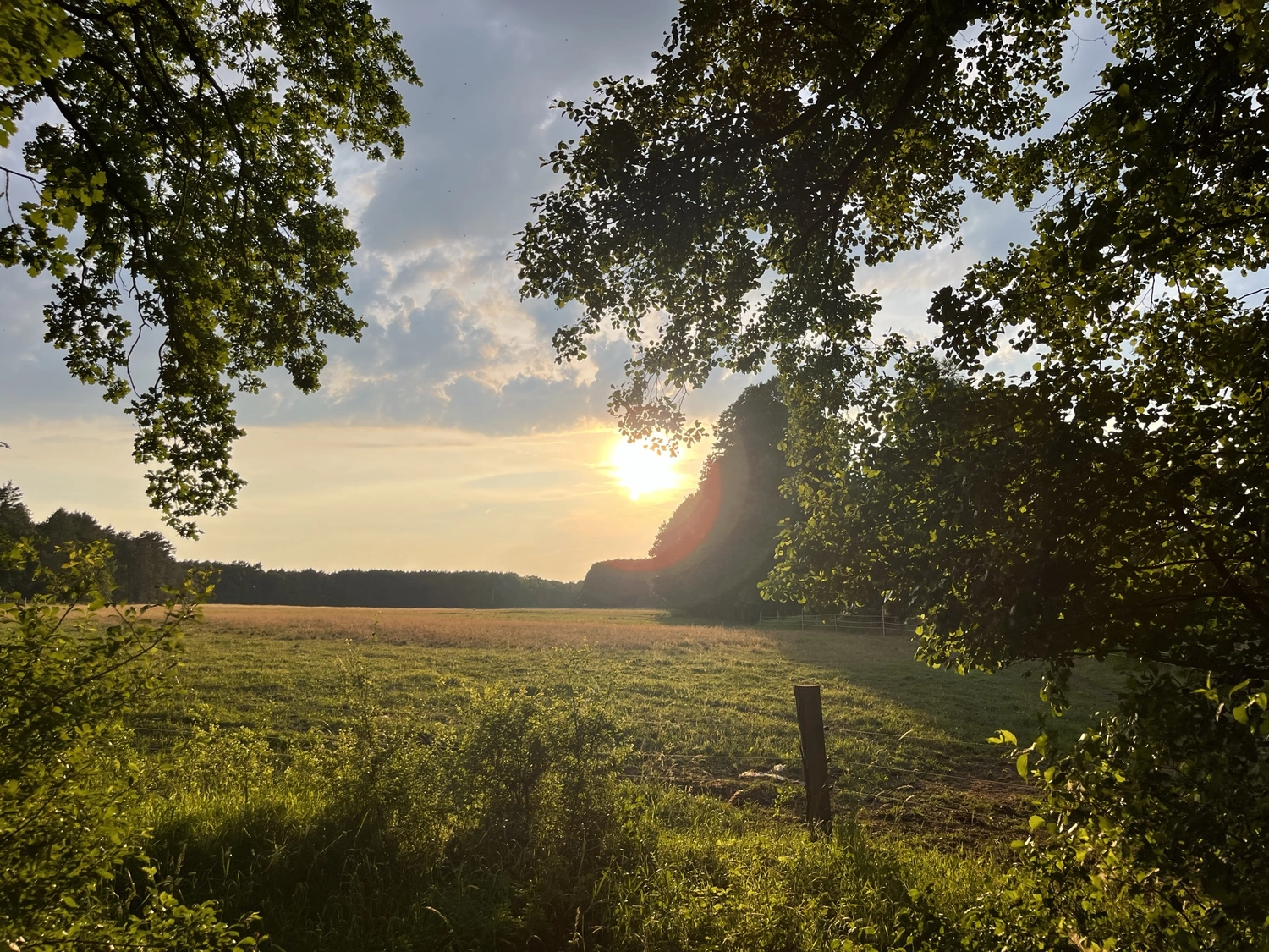 Hof Drögemühle - Landwirtschaft - Sonnenaufgang