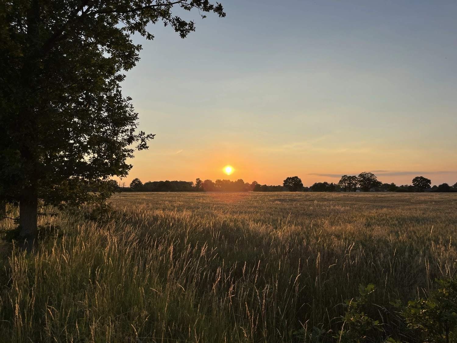 Hof Drögemühle - Landwirtschaft - Sonnenaufgang