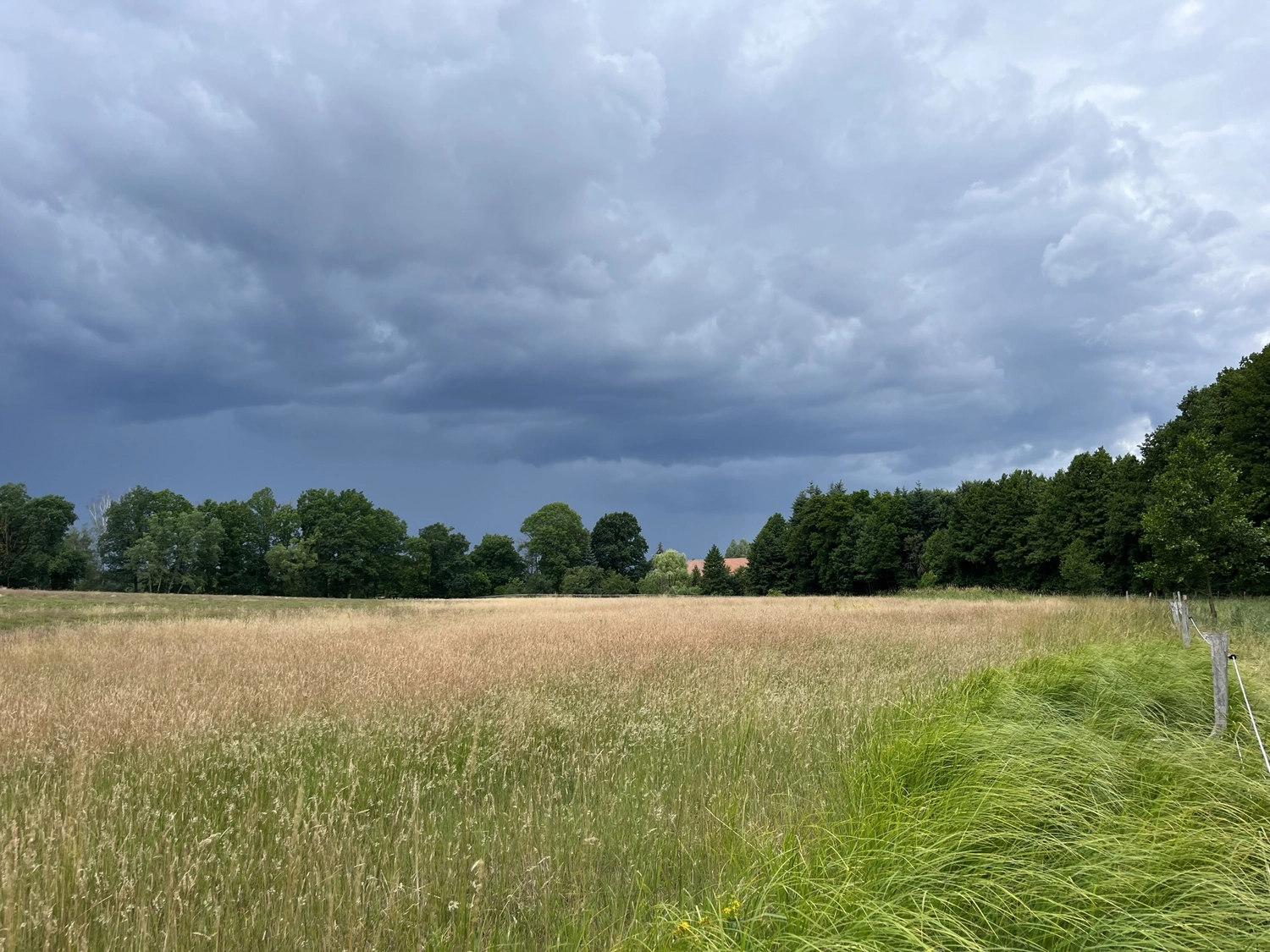 dunkle Wolken auf dem Feld