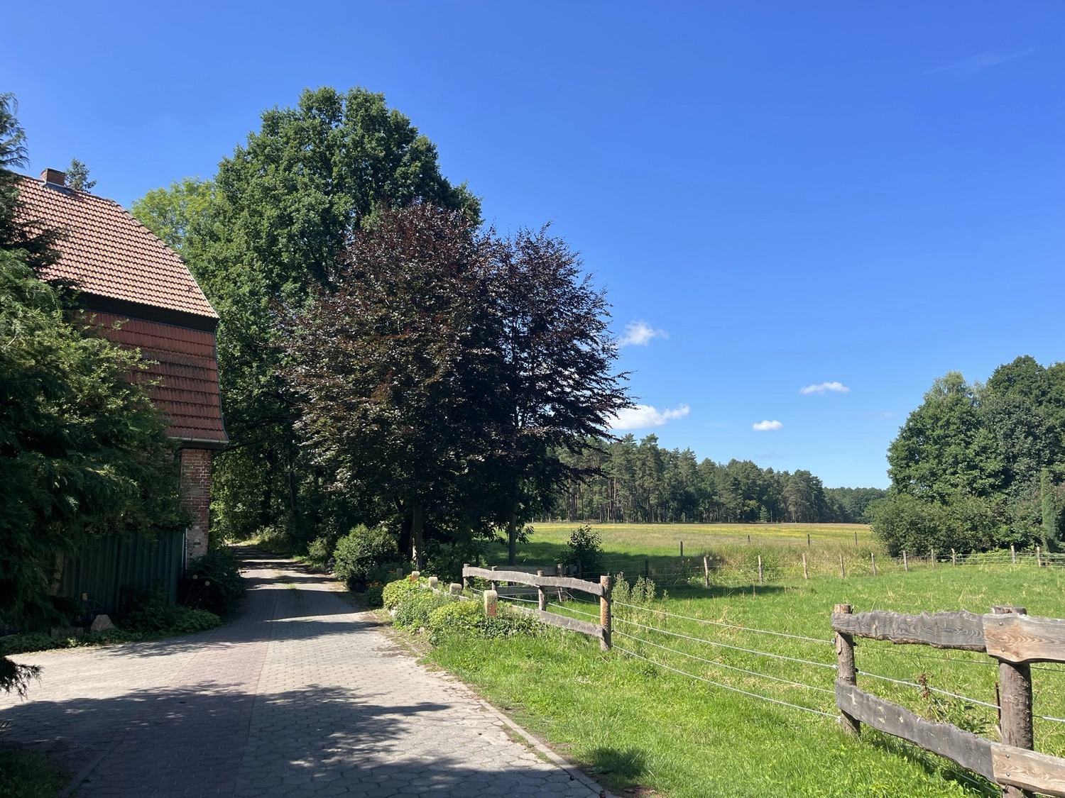 Hof Drögemühle - Landwirtschaft - Ackerland-Fußweg