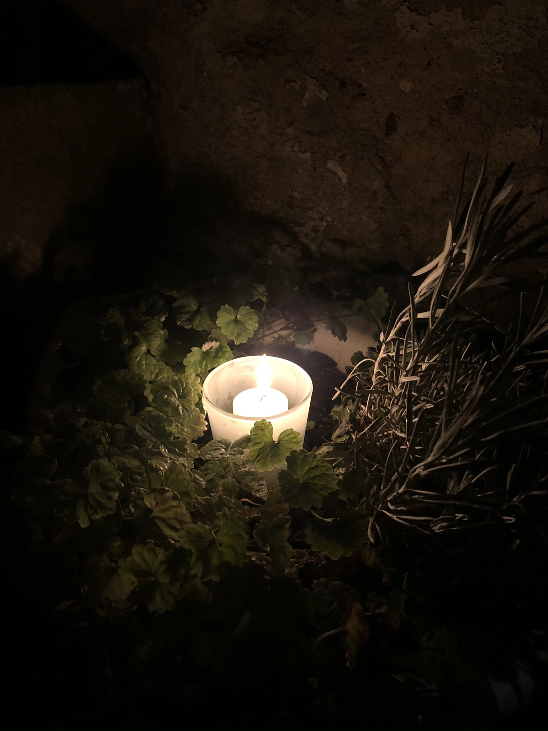 Hof Drögemühle - Landwirtschaft - Kerze