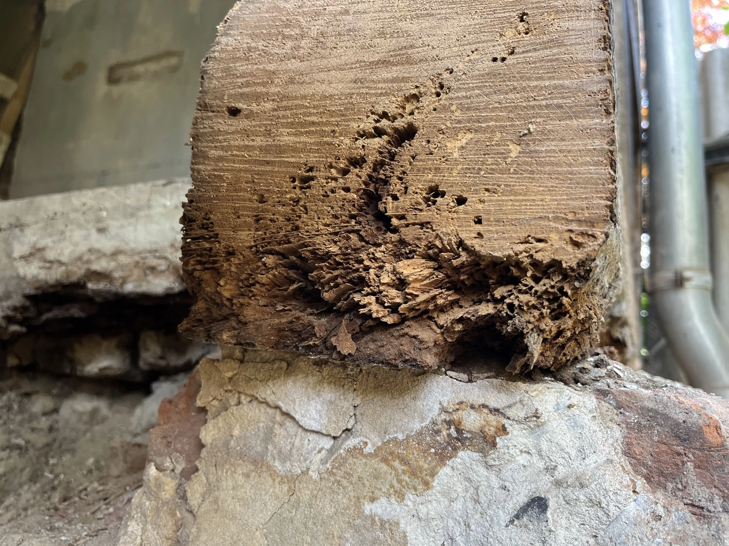 Hof Drögemühle - Landwirtschaft - Austausch der maroden Schwellbalken am Mühlengebäude