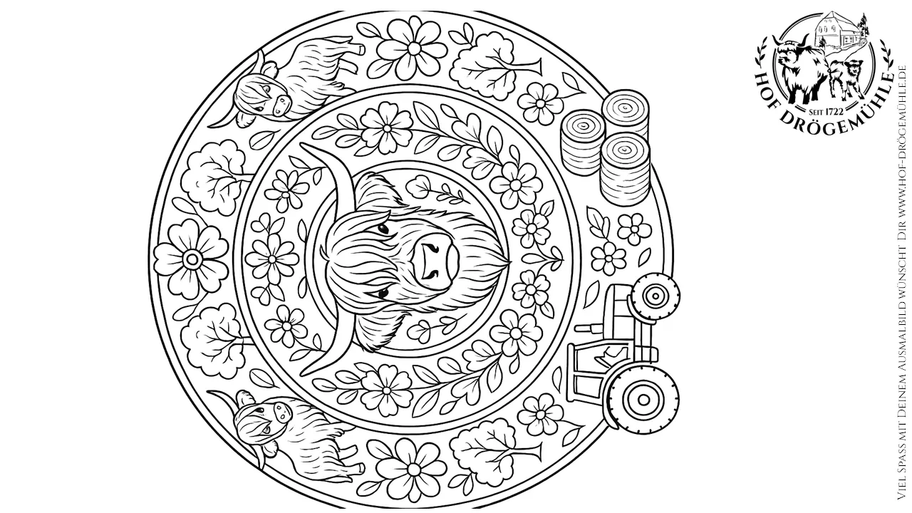 Hof Drögemühle - Malseite - Das Schotten-Mandala