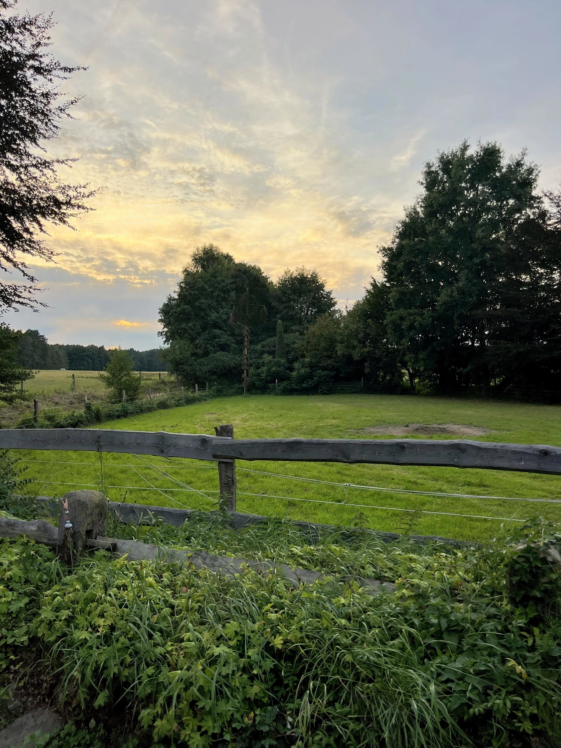 Hof Drögemühle - Landwirtschaft - Bauernhofumgebung