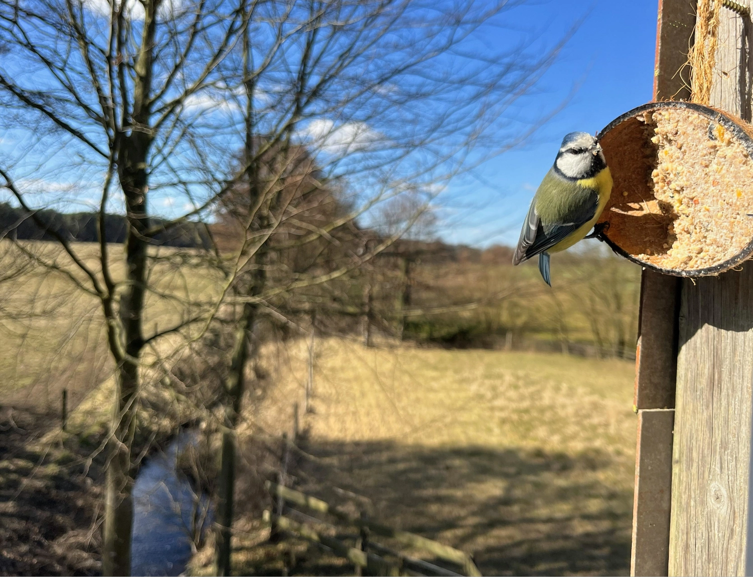 Hof Drögemühle - Landwirtschaft - Spatz