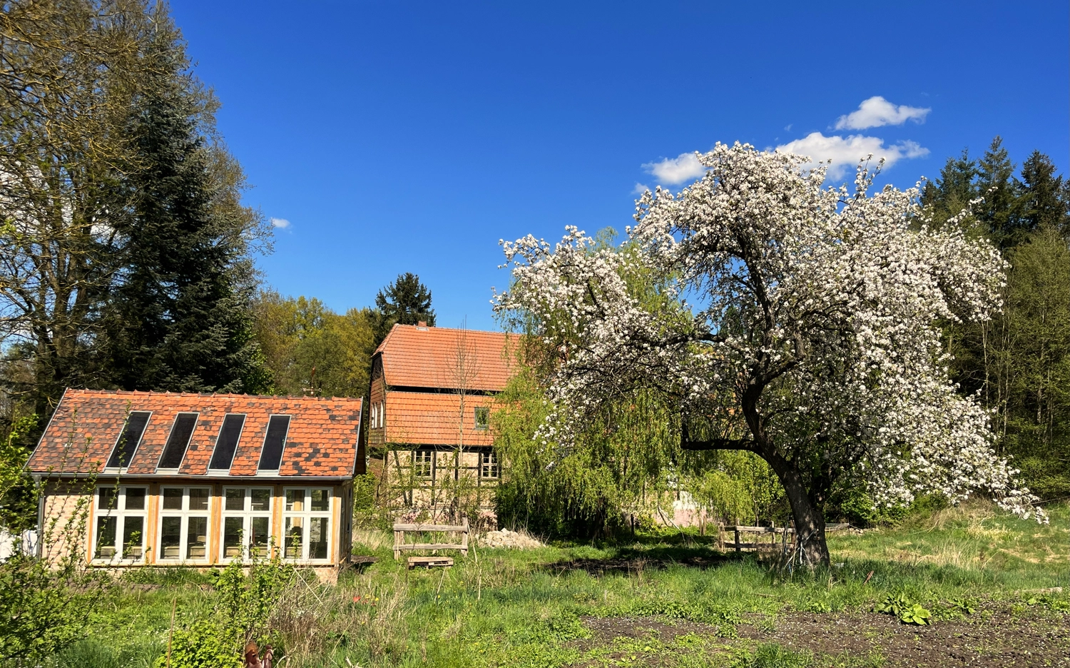 Hof Drögemühle - Landwirtschaft - Gewächshaus