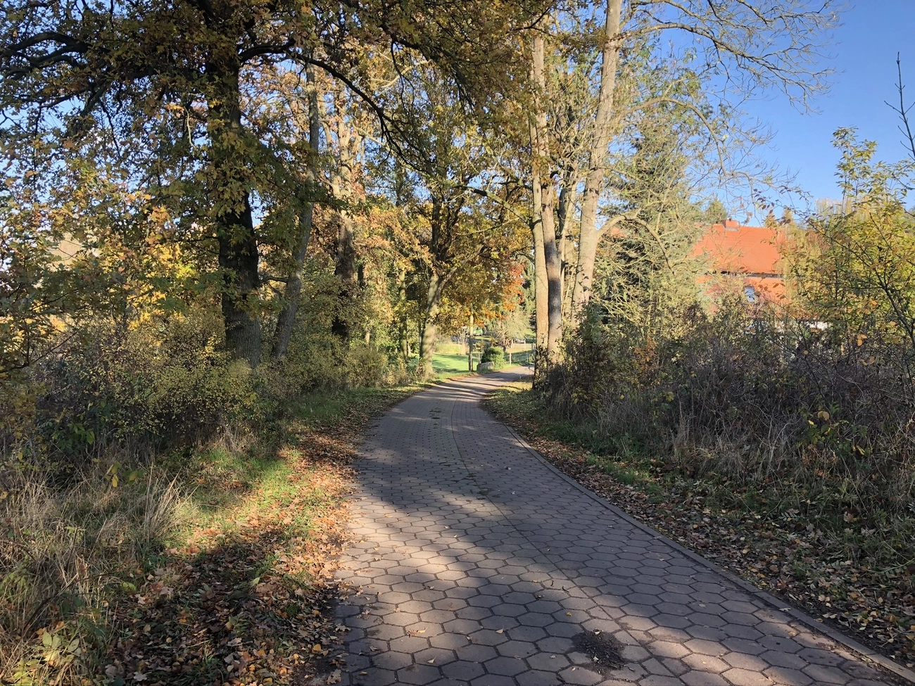 Hof Drögemühle - Landwirtschaft - Fußweg