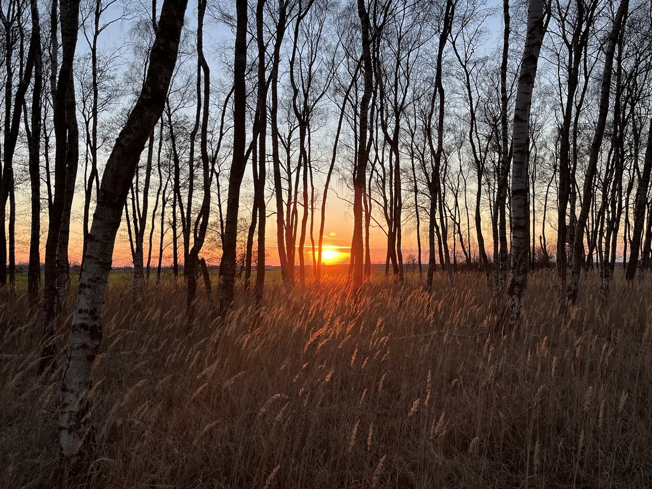 Hof Drögemühle - Landwirtschaft - Sonnenuntergang
