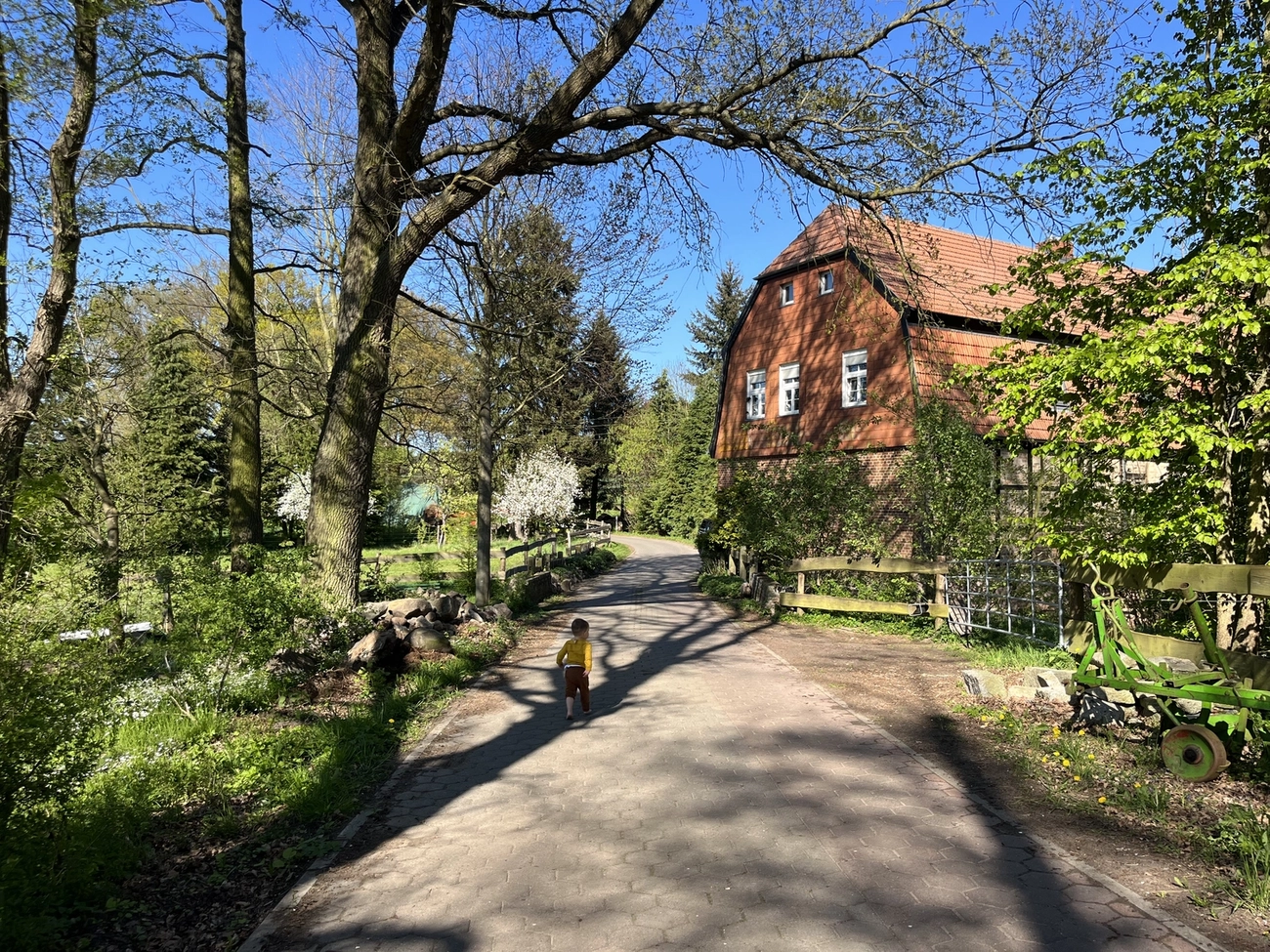 Hof Drögemühle - Landwirtschaft - Bauernhof