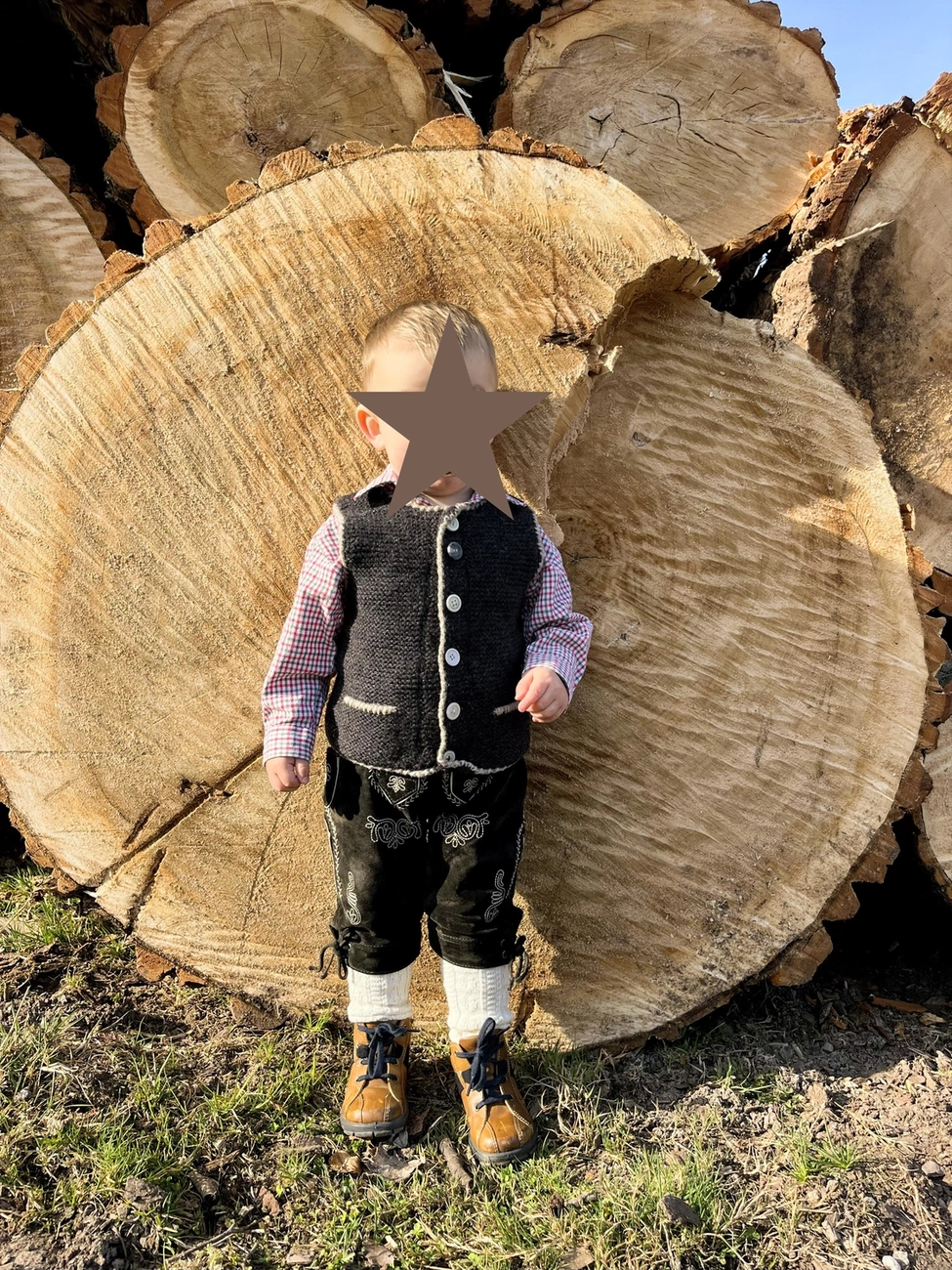 Hof Drögemühle - Landwirtschaft - Kind steht neben Holzstämmen