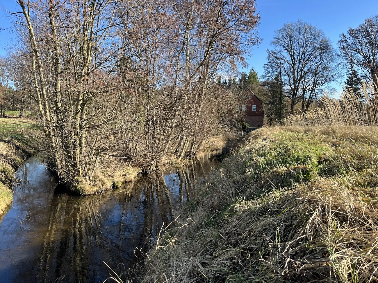 Hof Drögemühle - Landwirtschaft - Wasser im Wald