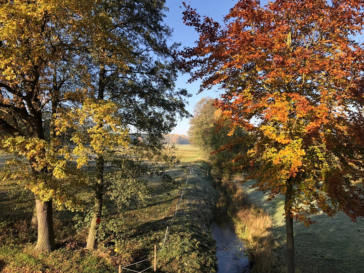 Hof Drögemühle - Landwirtschaft - Wald