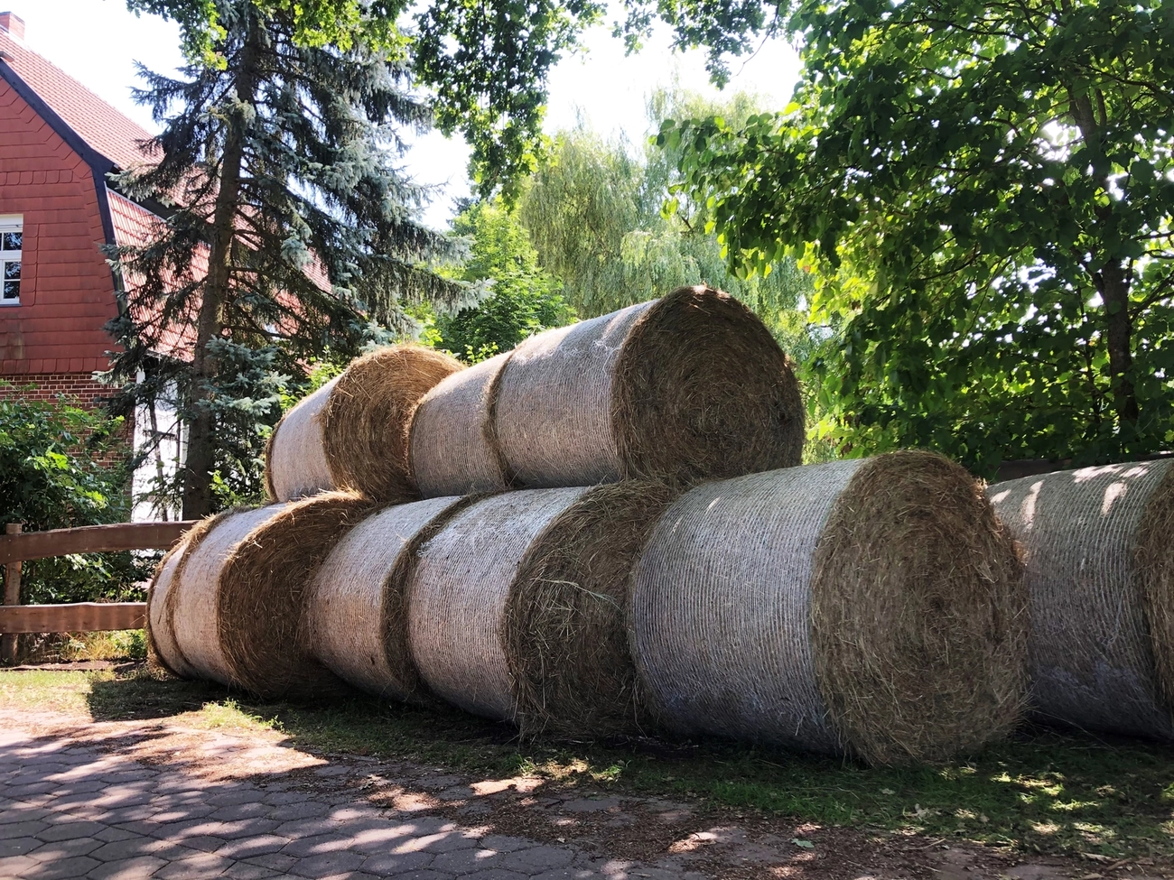Hof Drögemühle - Landwirtschaft - Heu