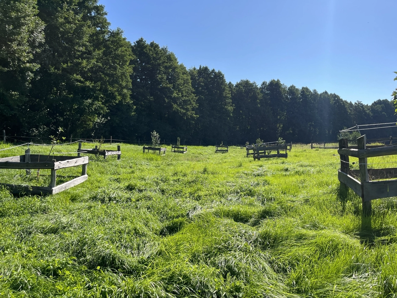 Hof Drögemühle - Landwirtschaft  Land