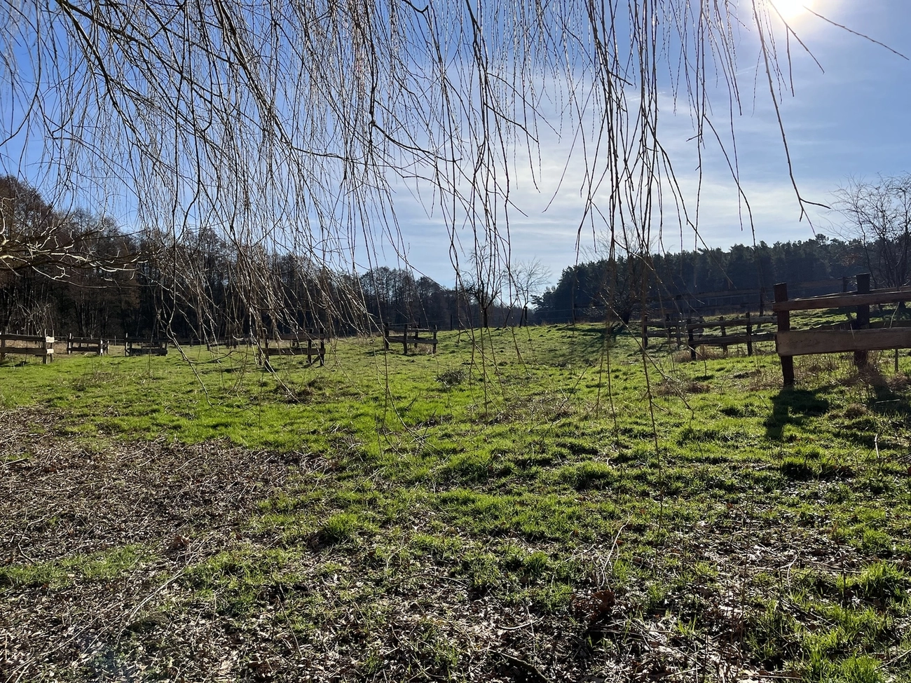 Hof Drögemühle - Landwirtschaft - Land