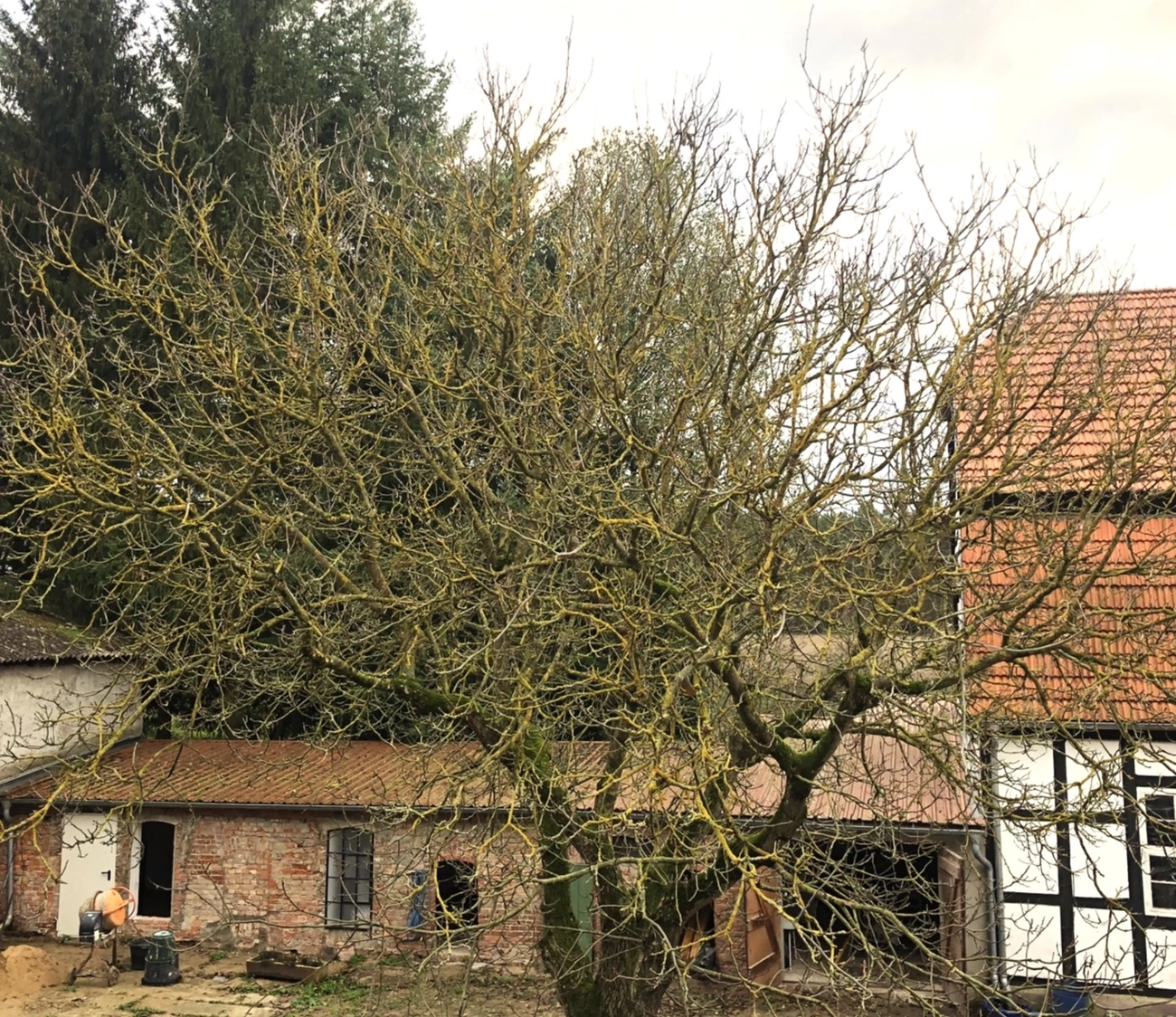 Hof Drögemühle - Landwirtschaft - alter Stall