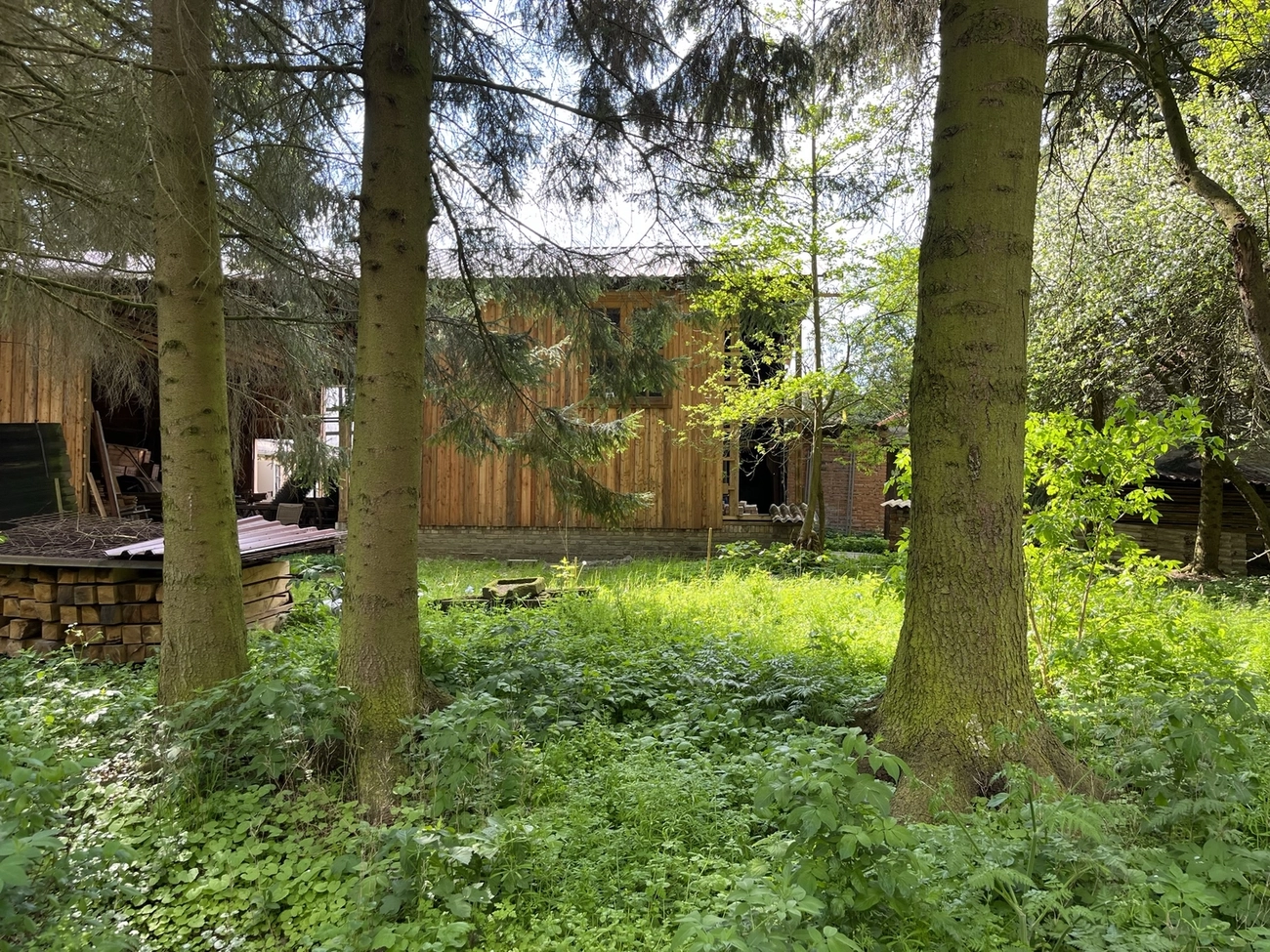 Hof Drögemühle - Landwirtschaft - Ausbau der alten Scheune